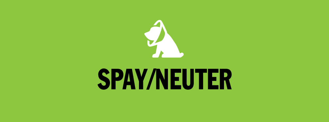 Spay/Neuter